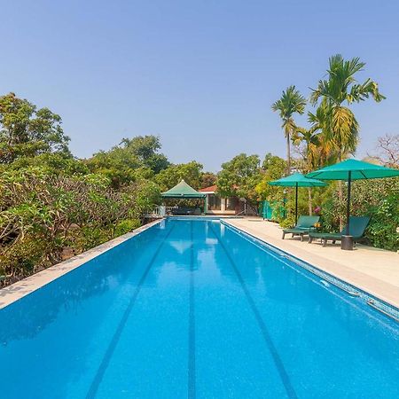 Stayvista's Casa Palmera: Pet-Friendly Villa with Pool and Games Alibag Exterior photo