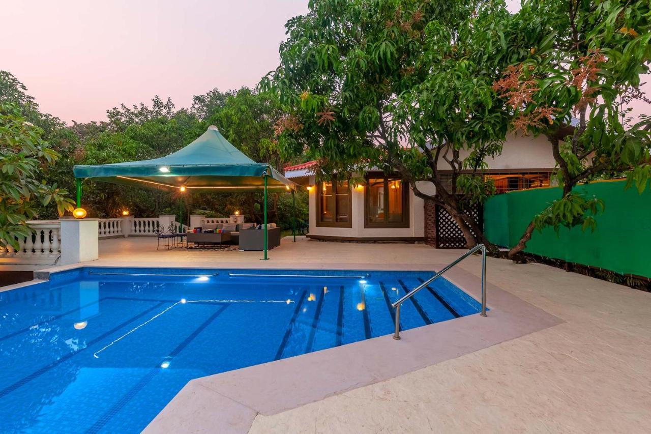 Stayvista's Casa Palmera: Pet-Friendly Villa with Pool and Games Alibag Exterior photo